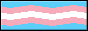 Transgender Flag